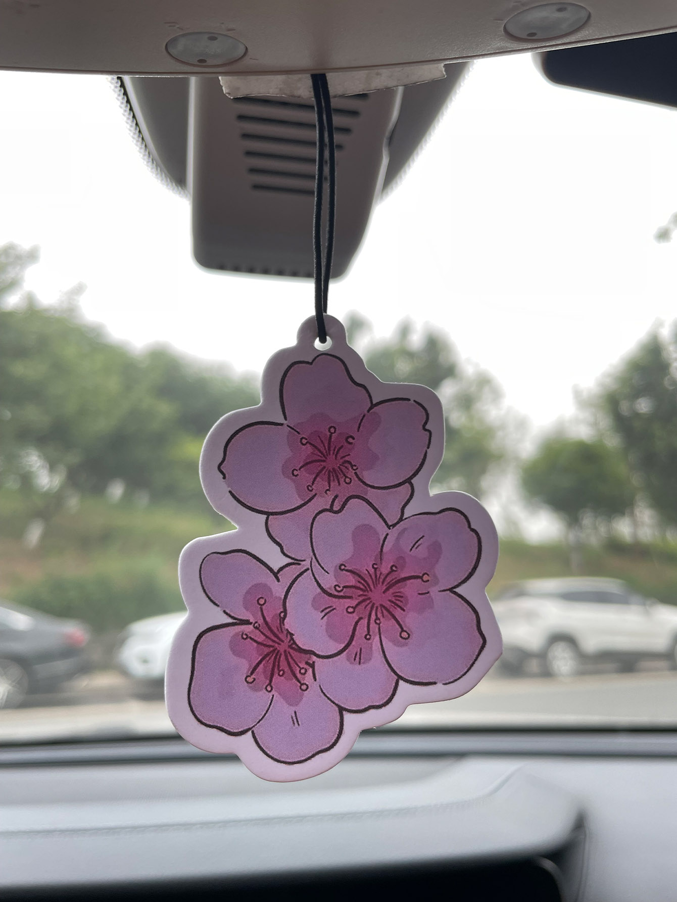 Sakura/Freesia Fresh Scent Fiv - Home Bathroom Vent review and price