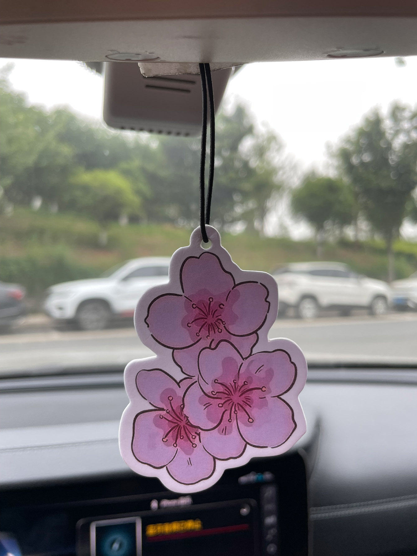 Sakura/Freesia Fresh Scent Fiv - Home Bathroom Vent review and price
